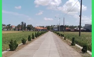 Tanah Dijual Murah SHM Bisa Dicicil Jln. Nasional Pendowo Purworejo