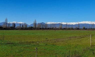 PARCELAS DE 5.000 M2, EN SECTOR SAN VÍCTOR ÁLAMOS, COMUNA DE LINARES.