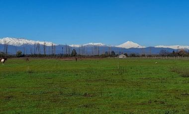 PARCELAS DE 5.000 M2, EN SECTOR SAN VÍCTOR ÁLAMOS, COMUNA DE LINARES.