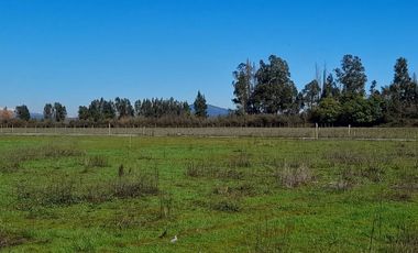 PARCELAS DE 5.000 M2, EN SECTOR SAN VÍCTOR ÁLAMOS, COMUNA DE LINARES.
