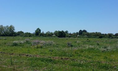 PARCELAS DE 5.000 M2, EN SECTOR SAN VÍCTOR ÁLAMOS, COMUNA DE LINARES.