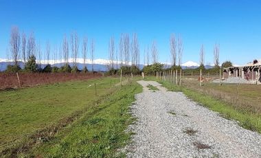 PARCELAS DE 5.000 M2, EN SECTOR SAN VÍCTOR ÁLAMOS, COMUNA DE LINARES.