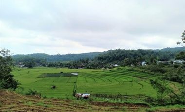 Rumah Vila Karangpandan Karanganyar