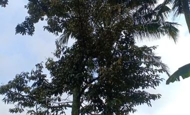 Rumah Vila Karangpandan Karanganyar