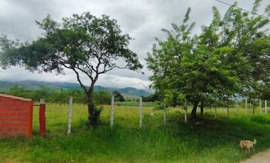 VENTA de FINCAS en GARZON