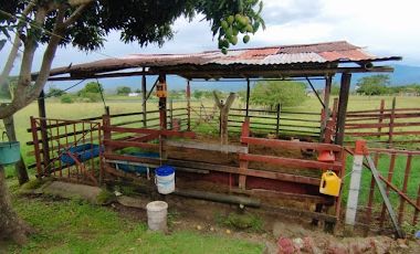 VENTA de FINCAS en GARZON