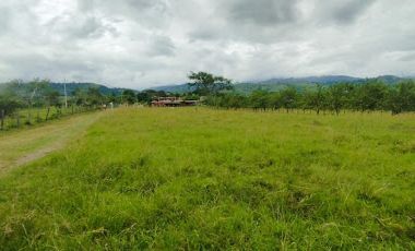 VENTA de FINCAS en GARZON