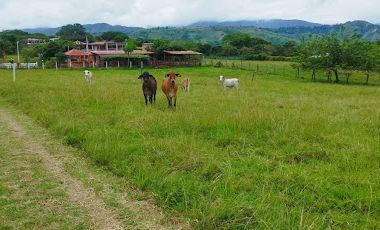 VENTA de FINCAS en GARZON