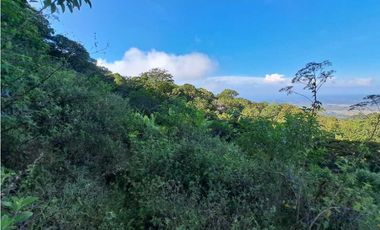 VENDO TERRENO DE 9859M2 ALTO JARAMILLO