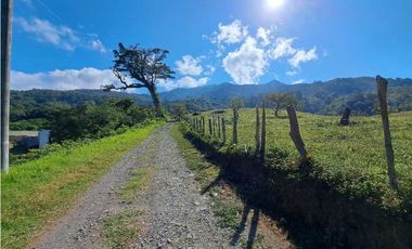 VENDO TERRENO DE 9859M2 ALTO JARAMILLO