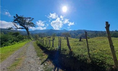 VENDO TERRENO DE 9859M2 ALTO JARAMILLO