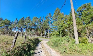 VENDO TERRENO DE 9859M2 ALTO JARAMILLO
