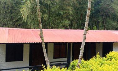 finca en venta en dapa. Cod V5050