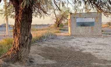 TERRENO EN VENTA, EJIDO LA UNION, TORREON COAH.
