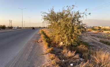 TERRENO EN VENTA, EJIDO LA UNION, TORREON COAH.