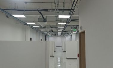 Local comercial en Renta 1570 m2 en Periferico Sur.