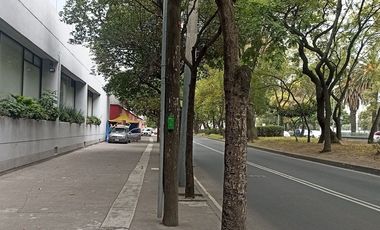 Local comercial en Renta 1570 m2 en Periferico Sur.