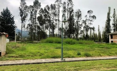 En Cotacachi, vendo lindo terreno plano, sector Colegio Las Lomas, cerca a Calle Filemón Proaño