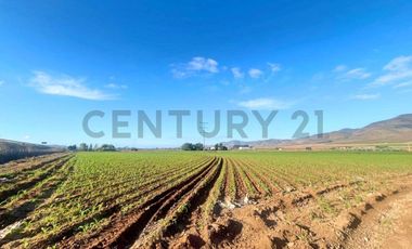 Vendo terreno sector Pan de Azúcar, Coquimbo