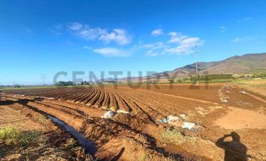 Vendo terreno sector Pan de Azúcar, Coquimbo