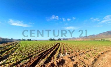 Vendo terreno sector Pan de Azúcar, Coquimbo