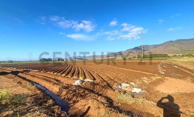 Vendo terreno sector Pan de Azúcar, Coquimbo