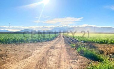 Vendo terreno sector Pan de Azúcar, Coquimbo
