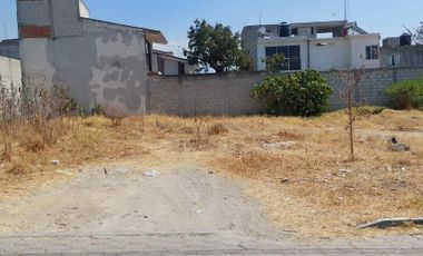 Terreno en  Venta en Tlacomulco