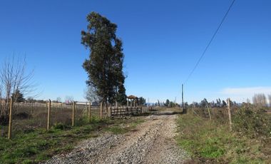 SE VENDE parcela cerca de Chillán en camino rural N-45
