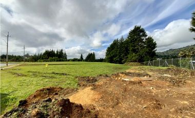 Lote Para Bodega Unidad Cerrada (Guarne)