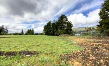 Lote Para Bodega Unidad Cerrada (Guarne)