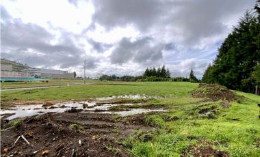 Lote Para Bodega Unidad Cerrada (Guarne)