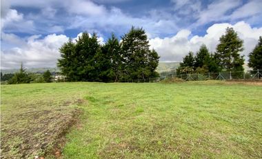 Lote Para Bodega Unidad Cerrada (Guarne)