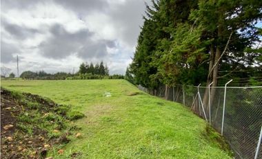 Lote Para Bodega Unidad Cerrada (Guarne)