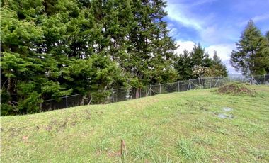 Lote Para Bodega Unidad Cerrada (Guarne)