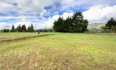 Lote Para Bodega Unidad Cerrada (Guarne)
