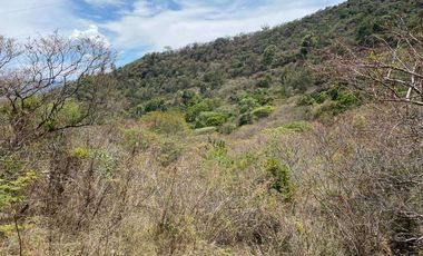 Vendo finca de oportunidad