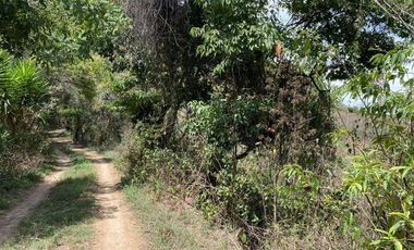 Vendo finca de oportunidad