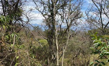 Vendo finca de oportunidad