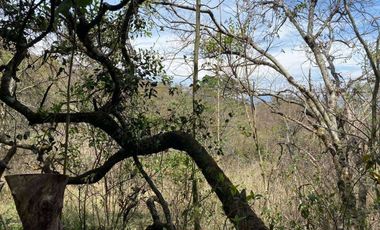 Vendo finca de oportunidad