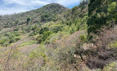 Vendo finca de oportunidad