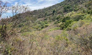 Vendo finca de oportunidad