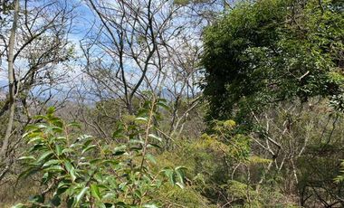 Vendo finca de oportunidad