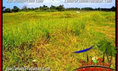 52 Are cocok untuk Bangunan Komersial di Kawasan Kediri