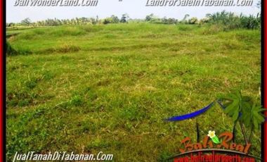 52 Are cocok untuk Bangunan Komersial di Kawasan Kediri