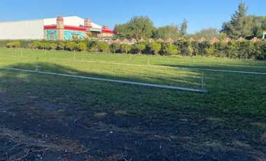 RENTA DE TERRENO APASEO EL GRANDE, GUANAJUATO