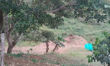 finca en venta en san roque. Cod V509434