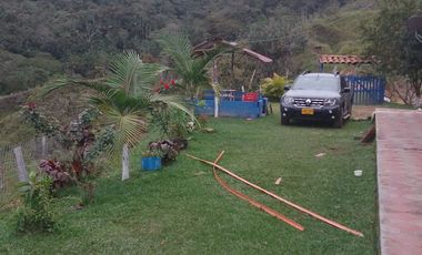 finca en venta en san roque. Cod V509434