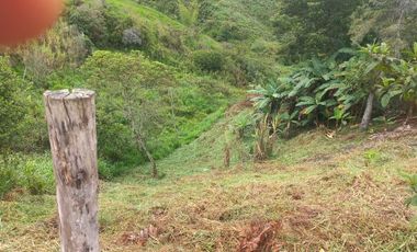 finca en venta en san roque. Cod V509434