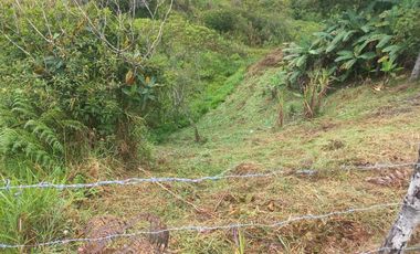 finca en venta en san roque. Cod V509434